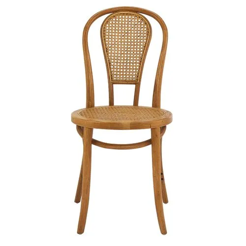 Set of 2 Wade Rattan Side Chairs - Walnut - Brown