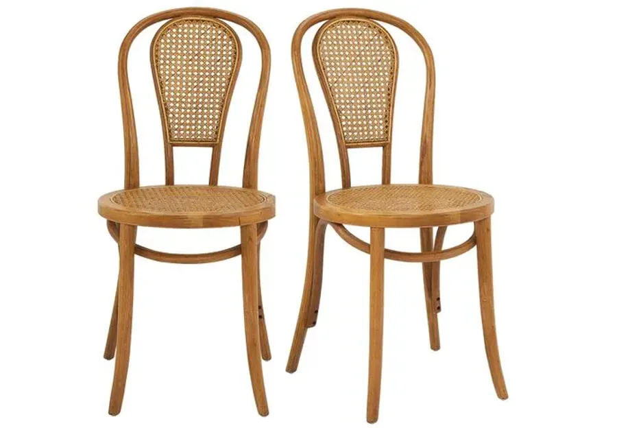 Set of 2 Wade Rattan Side Chairs - Walnut - Brown