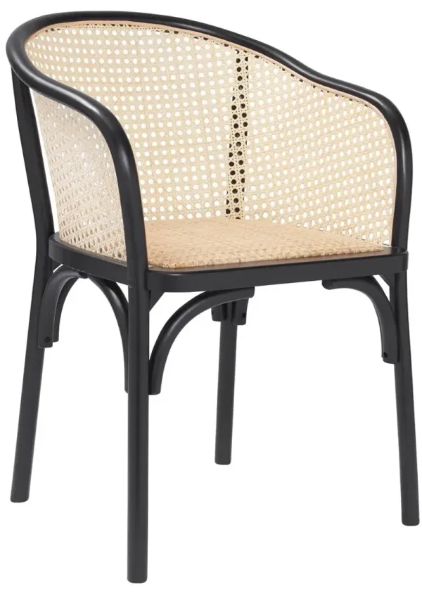 Tate Rattan Armchair, Black/Natural