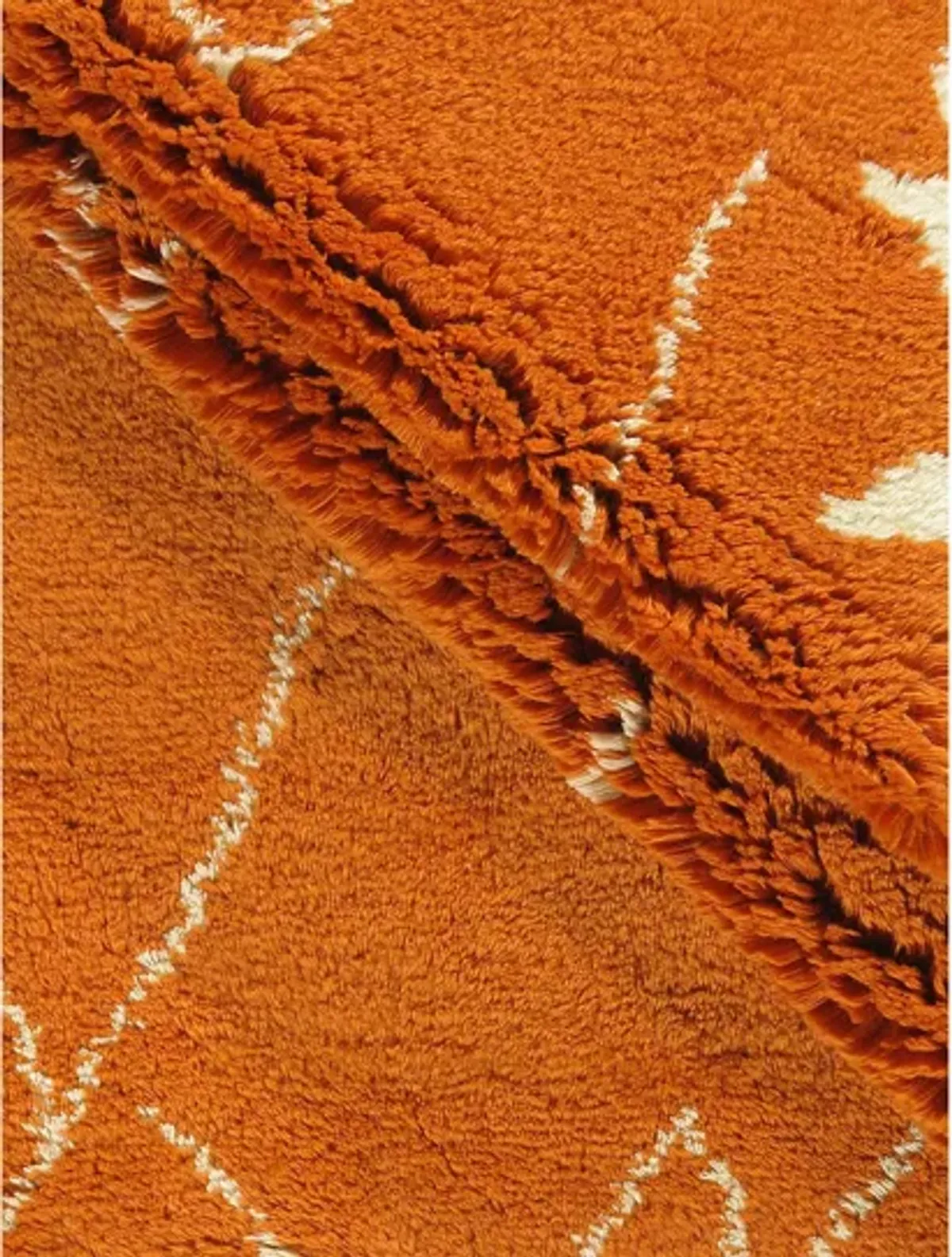 10'x12'10" Moroccan Style Fluffy Rug - Orange - Orange