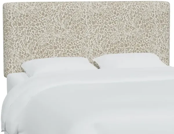 Novak Pounce Headboard