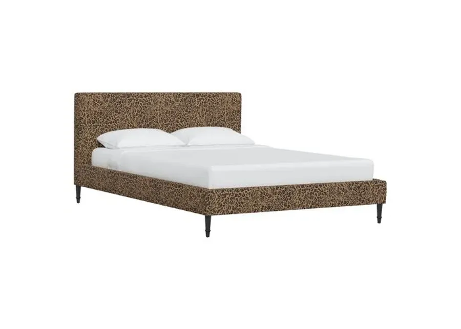 Lili Pounce Bed - Brown