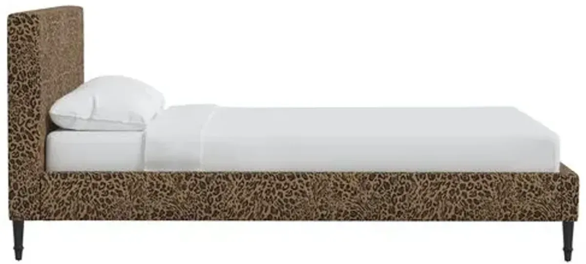 Lili Pounce Bed - Brown