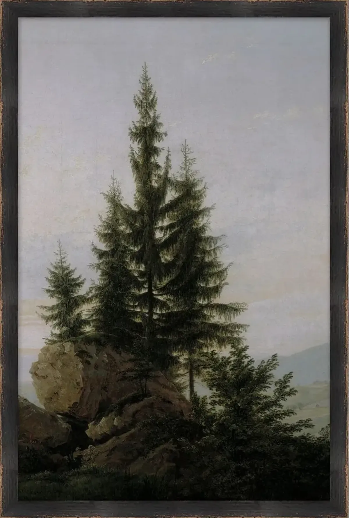 Lauren Liess, Beclouded Timber