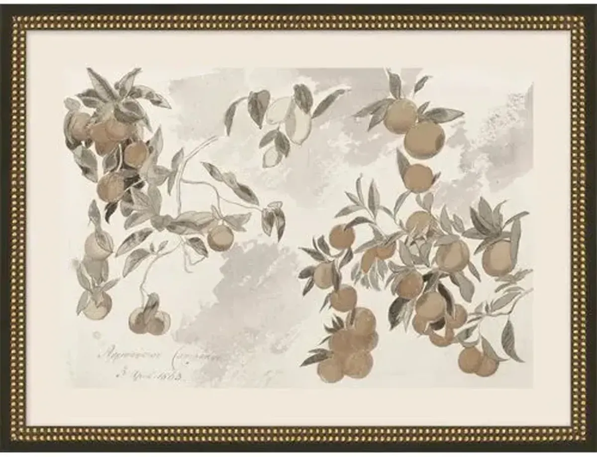 Lauren Liess - Fruit Branches