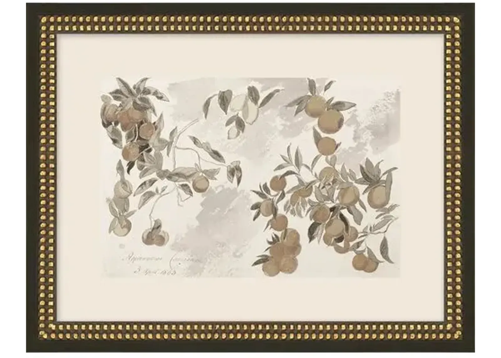 Lauren Liess - Fruit Tree