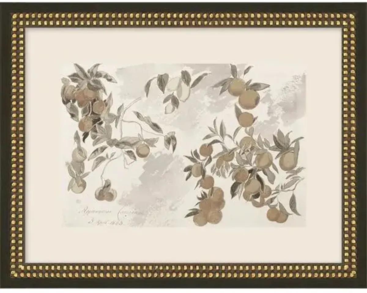 Lauren Liess - Fruit Tree