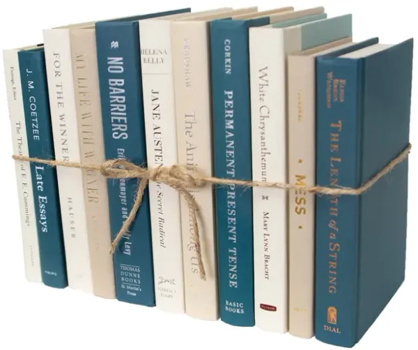 1-Foot Modern Book Bundle, Northern Shore