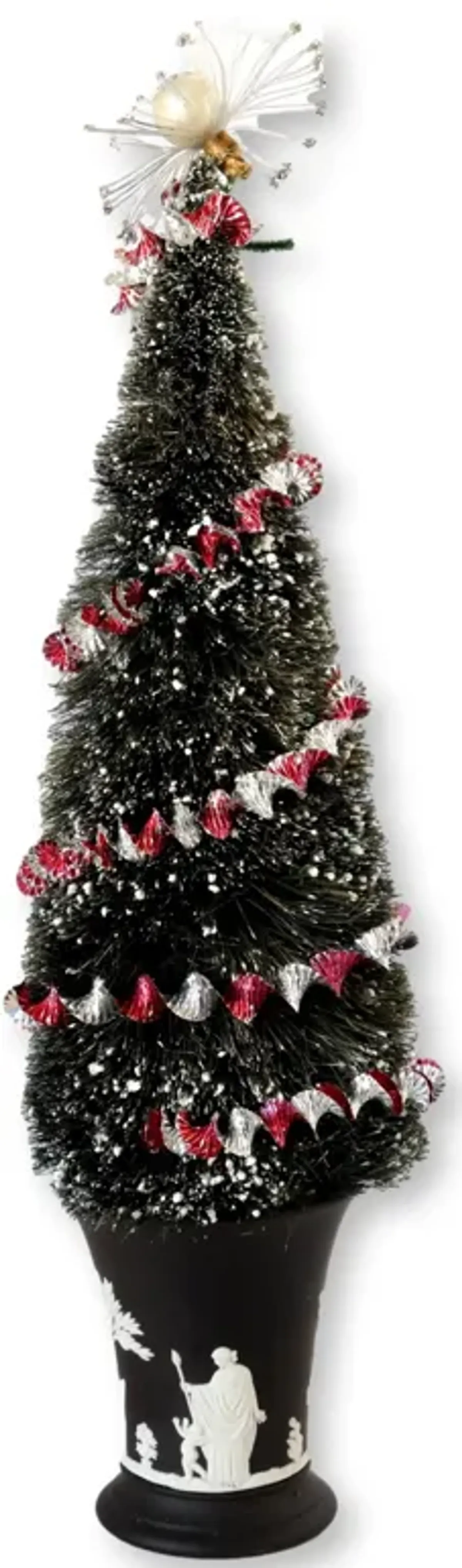 Bottle Brush Tree with Wedgwood Pot - Rose Victoria - black