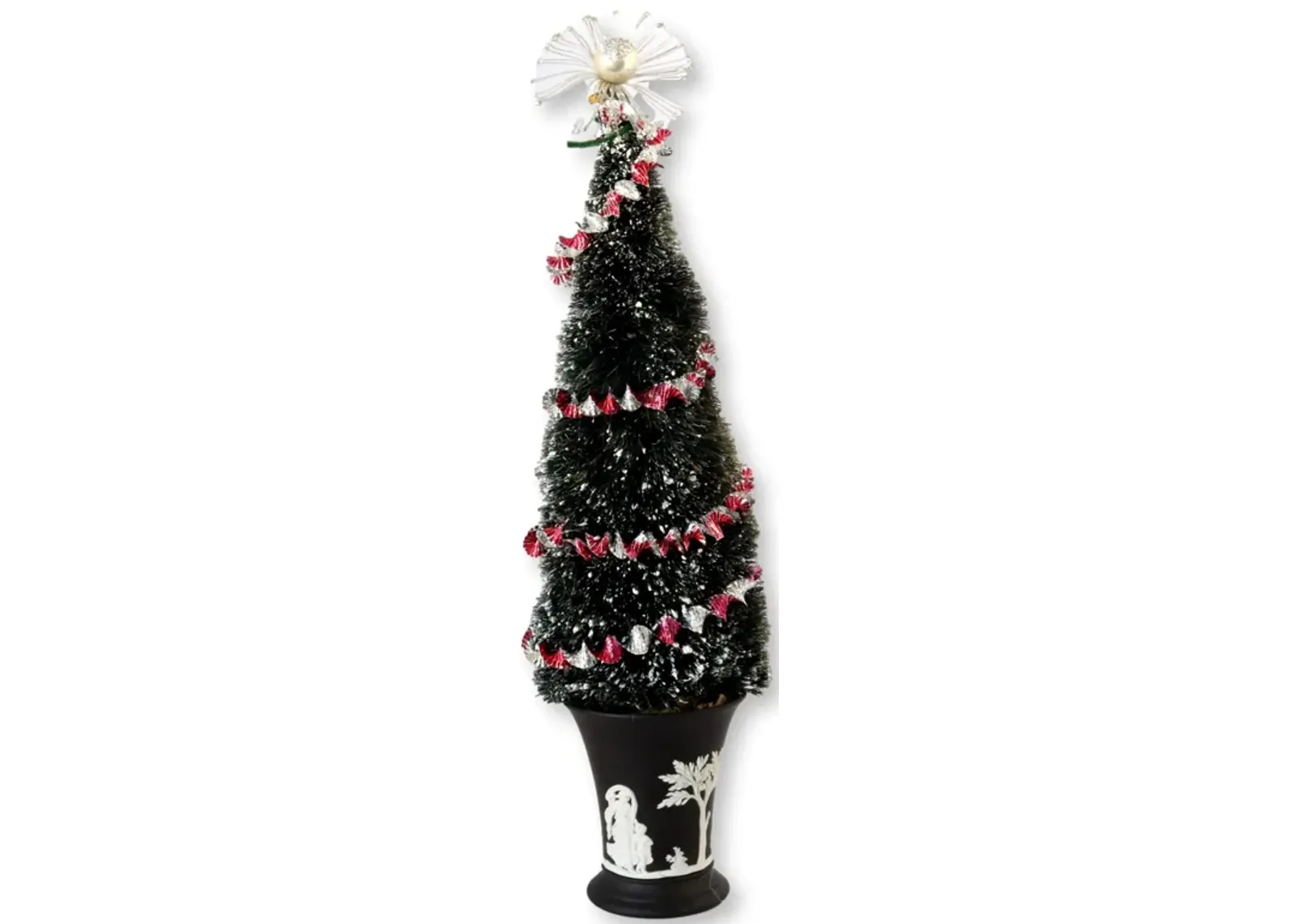 Bottle Brush Tree with Wedgwood Pot - Rose Victoria - black