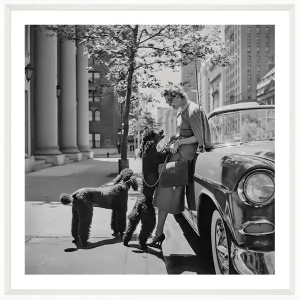 Slim Aarons - Inga Lindgren and Poodles - White