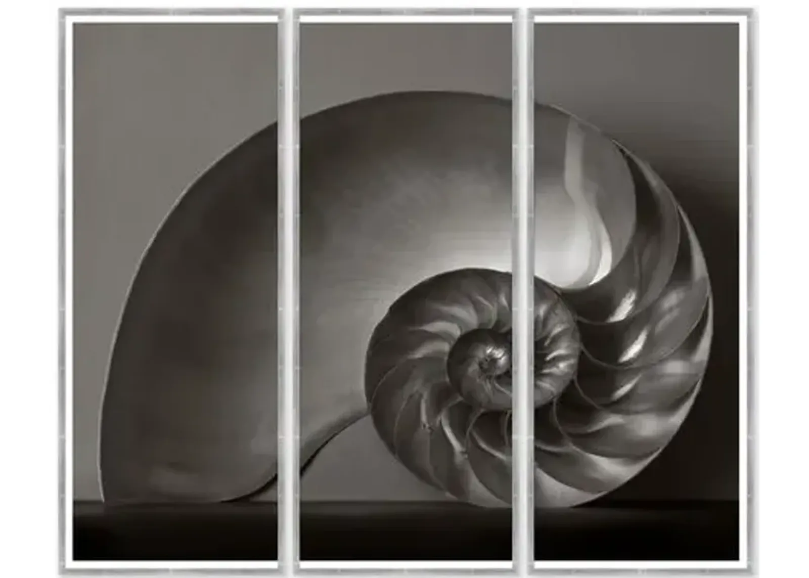 Triptych - Nautilus - Soicher Marin - Silver