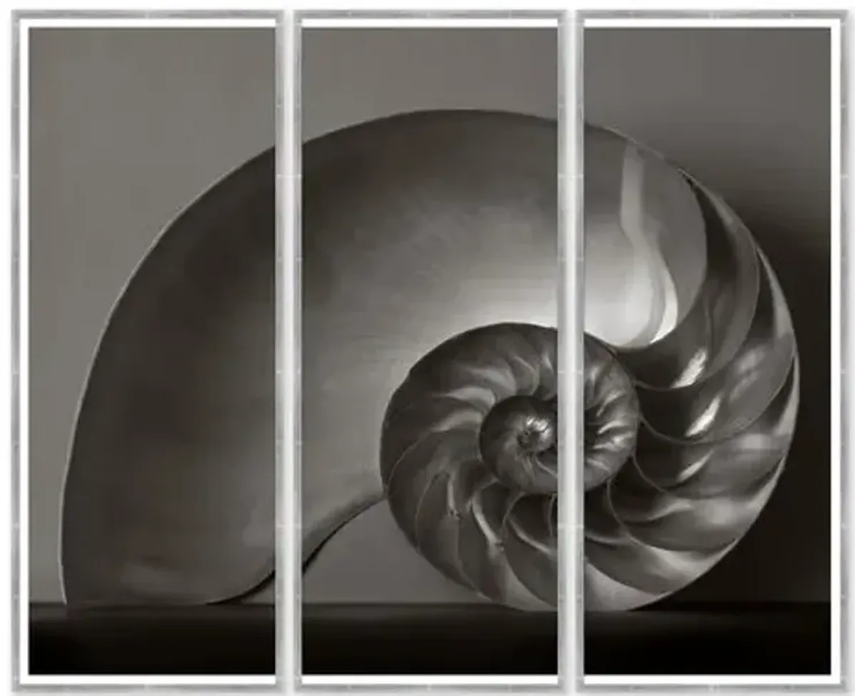 Triptych - Nautilus - Soicher Marin - Silver