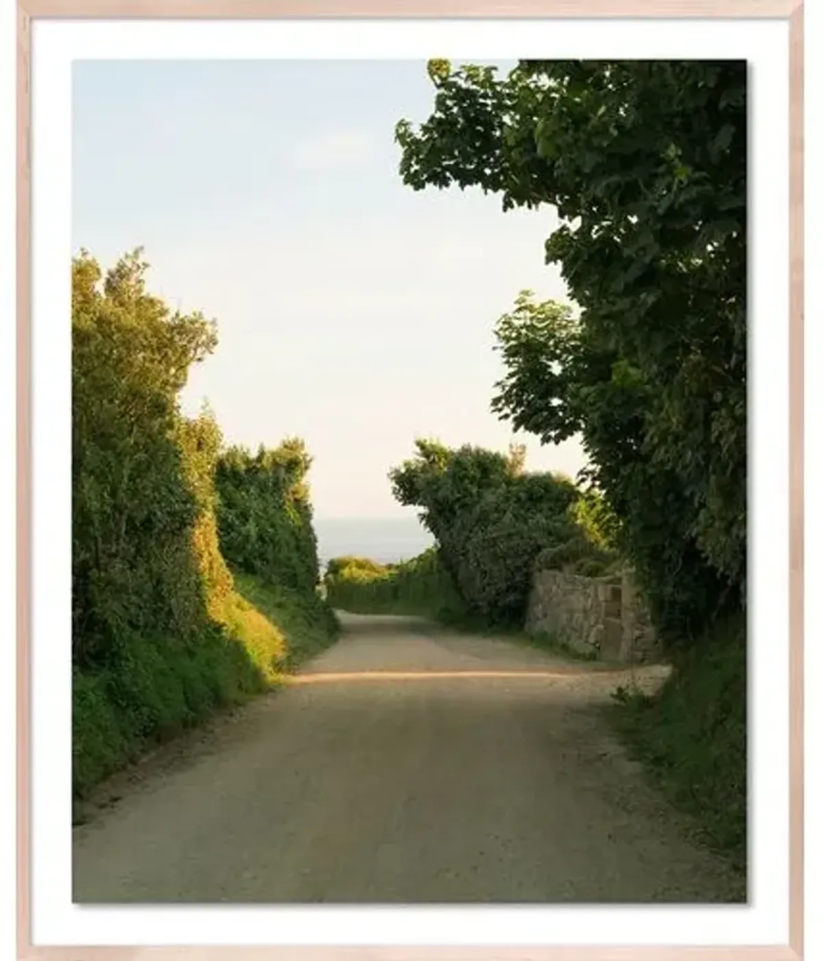 Tommy Kwak - Path - Sark Island Photograph - Beige