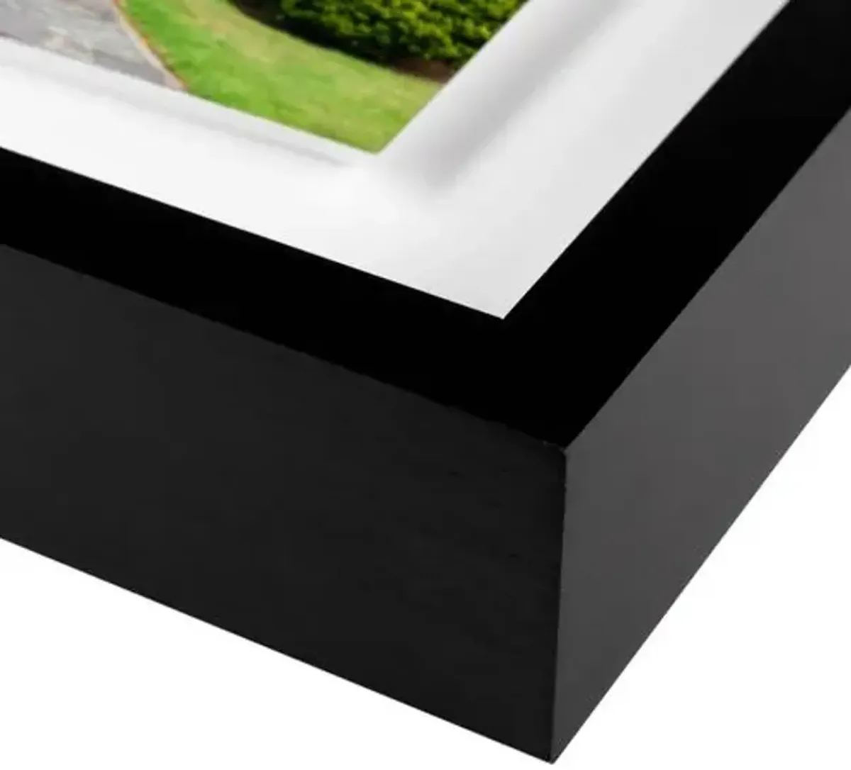 Tommy Kwak - Altamont Gardens Photograph - Ireland - Black