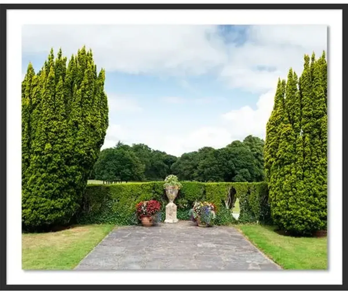 Tommy Kwak - Altamont Gardens Photograph - Ireland - Black
