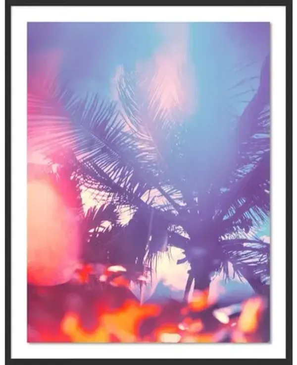 Tommy Kwak - Palms 2 Photograph - South Beach - Miami - Black