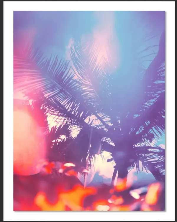 Tommy Kwak, Palms 2 Photograph, South Beach, Miami
