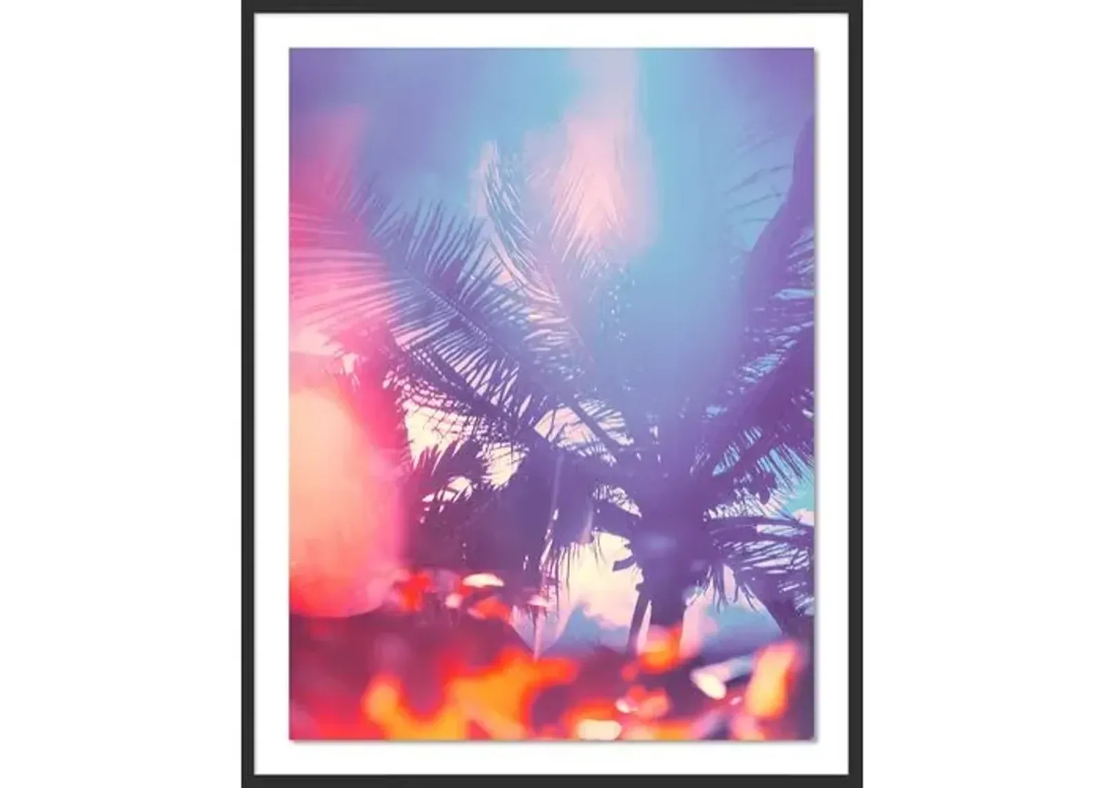 Tommy Kwak - Palms 2 - South Beach - Miami - Black