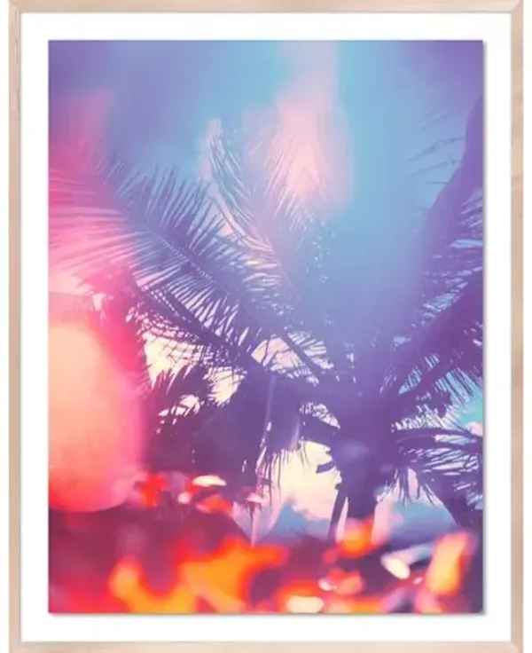Tommy Kwak - Palms 2 Photograph - South Beach - Miami - Beige