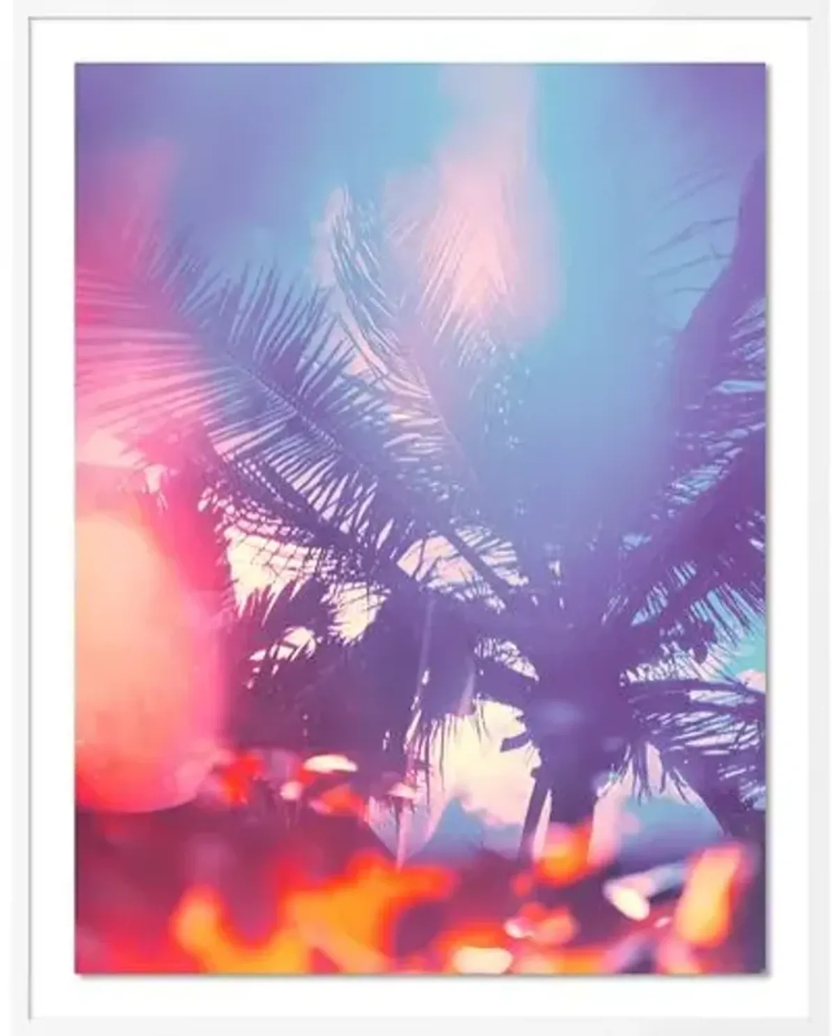 Tommy Kwak - Palms 2 - South Beach - Miami - White