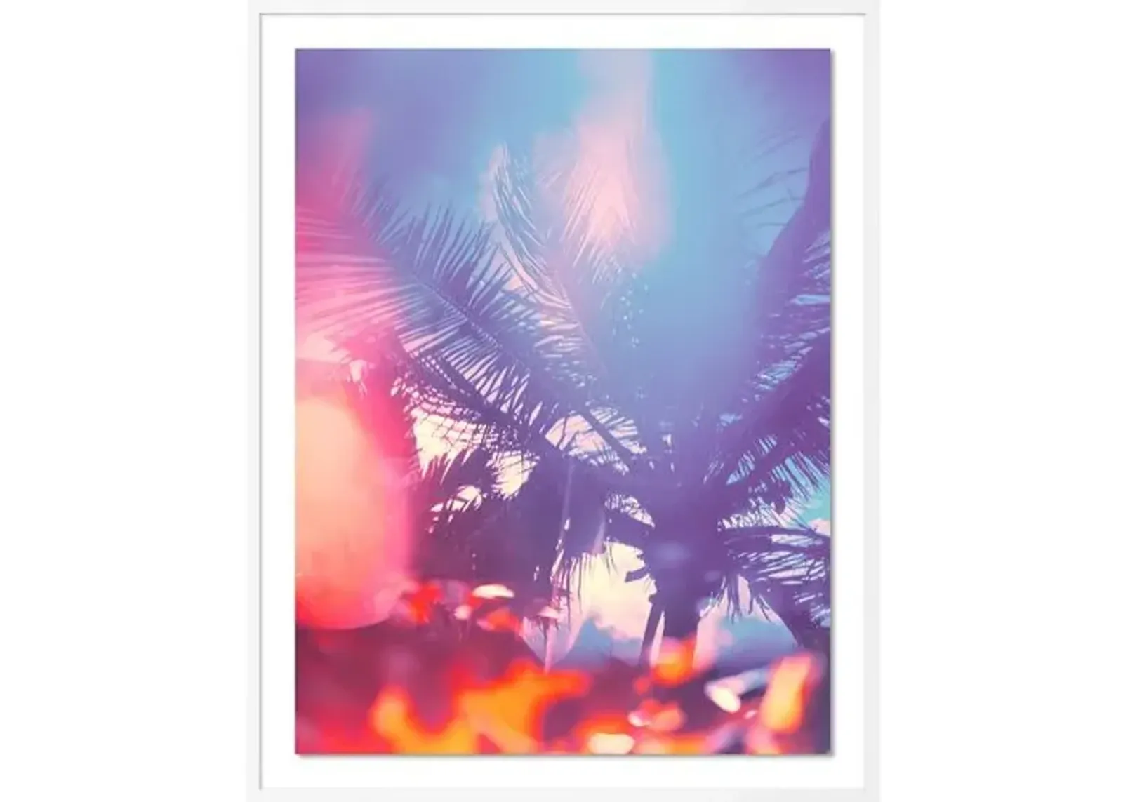 Tommy Kwak - Palms 2 - South Beach - Miami - White