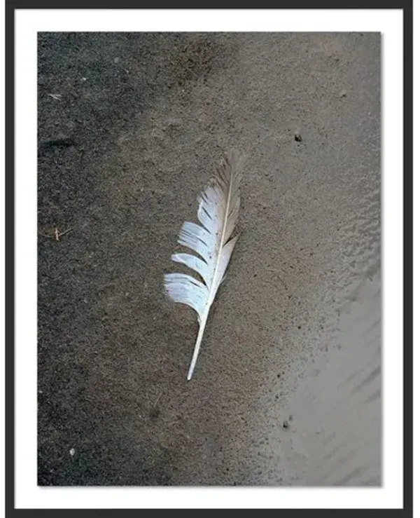 Tommy Kwak - Feather Photograph - Dyrhlaey - Iceland - Black