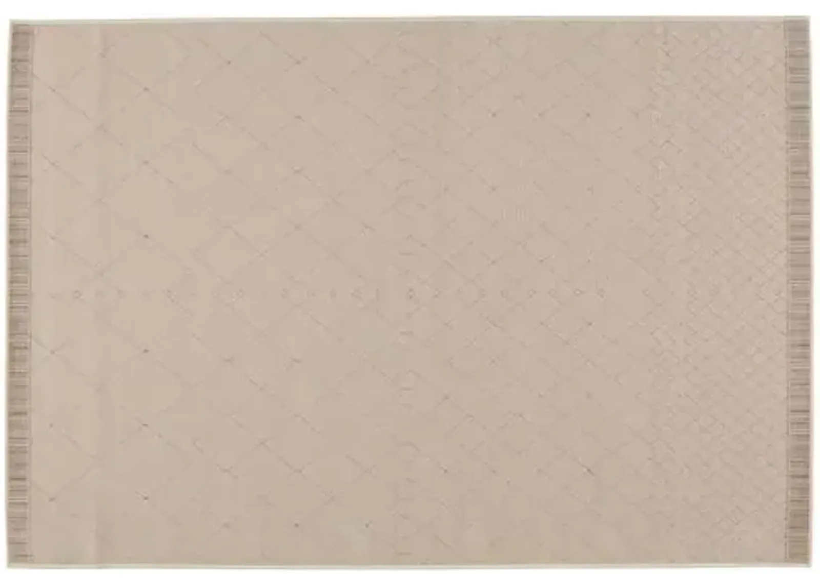 Anusha Indoor/Outdoor Rug - Beige/Dark Taupe - Beige