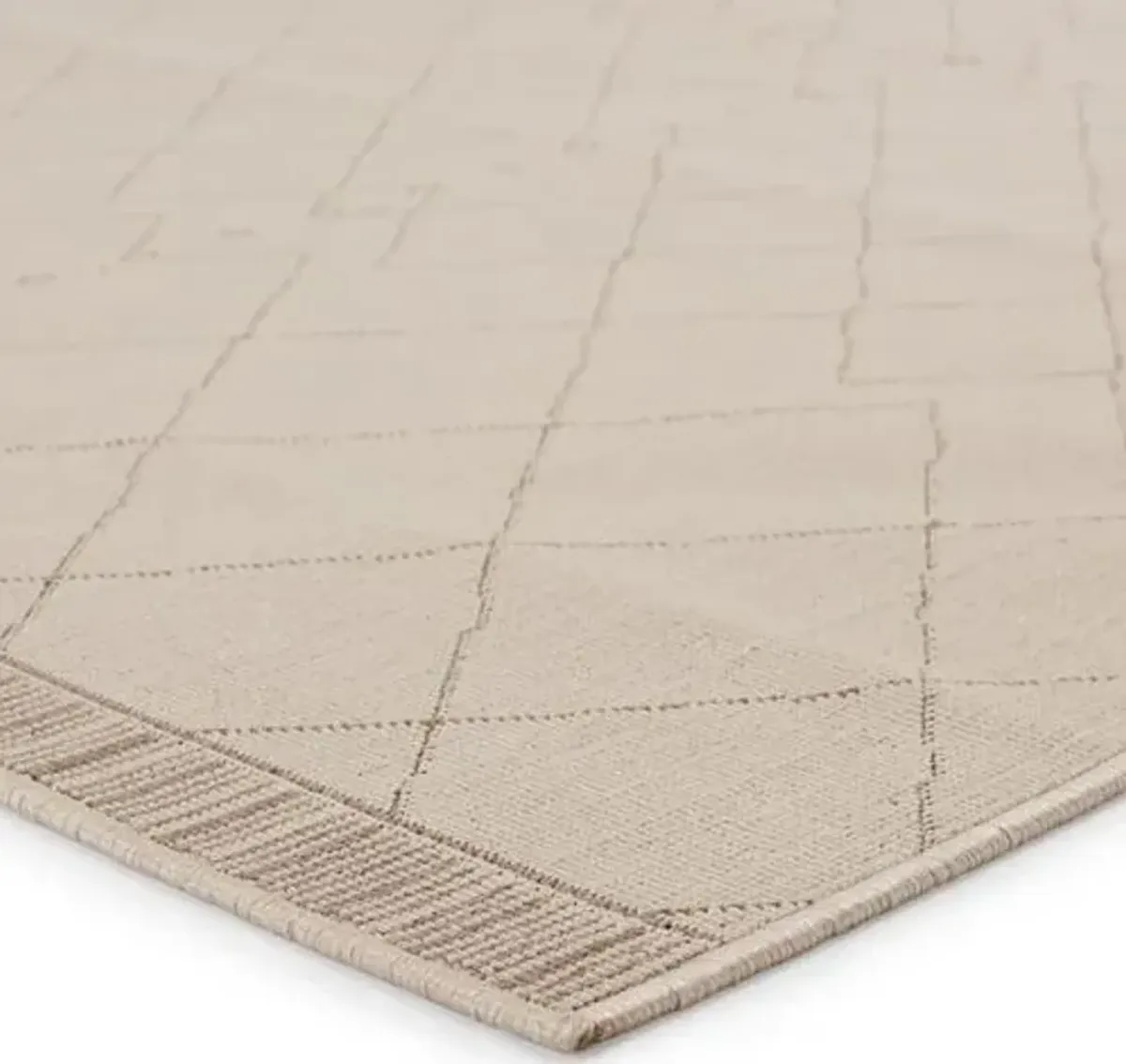 Anusha Indoor/Outdoor Rug - Beige/Dark Taupe - Beige