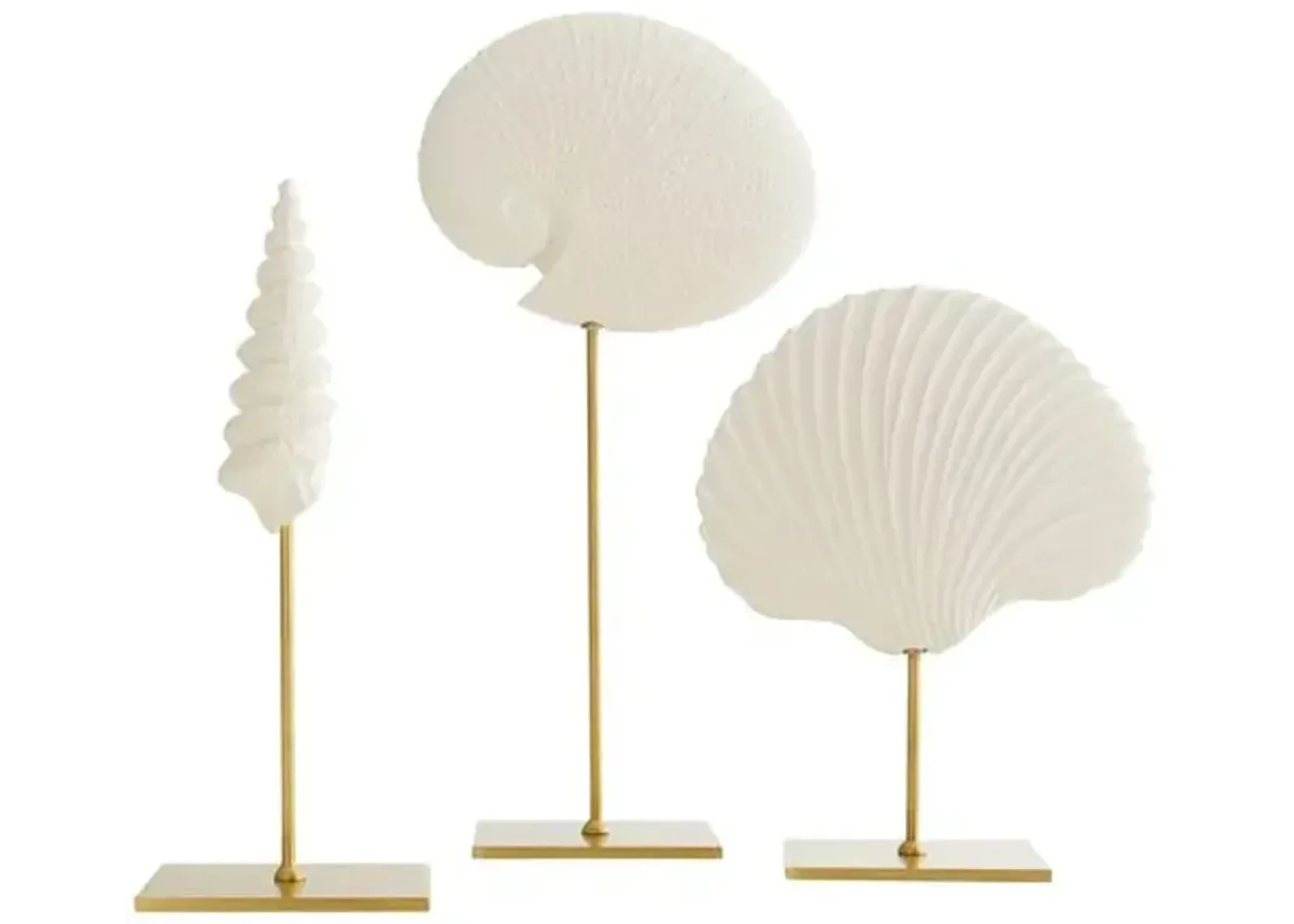 Set of 3 Shell Sculpture - White