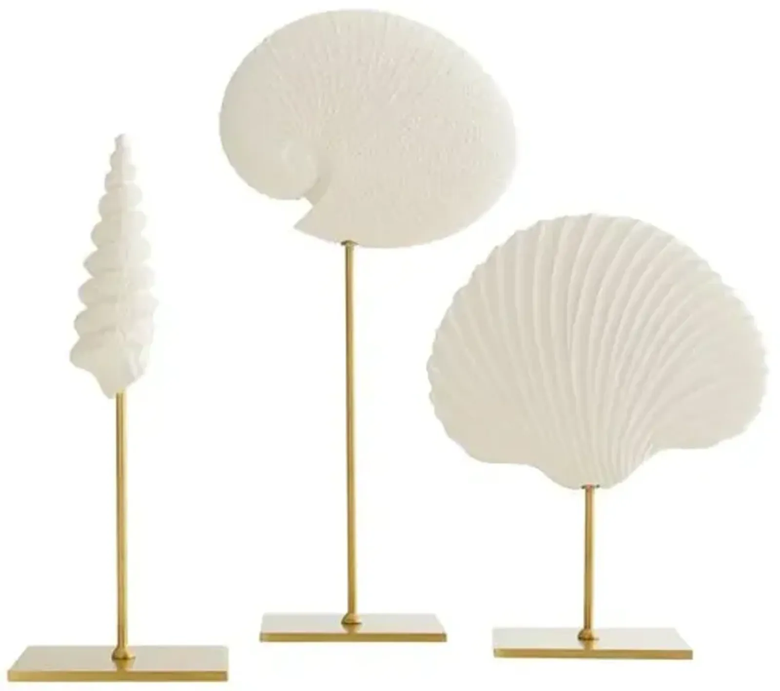 Set of 3 Shell Sculpture - White