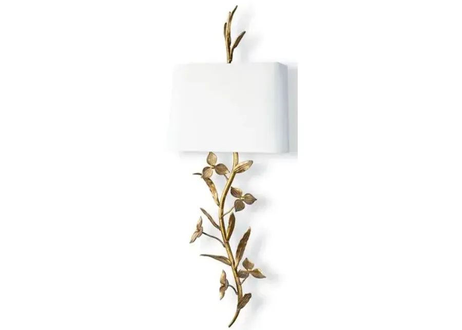 Southern Living Trillium Shaded Sconce - Natural Brass - Regina Andrew - Gold