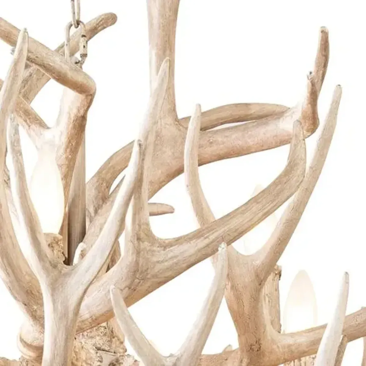 Southern Living Waylon Antler Chandelier - Natural - Regina Andrew - Beige