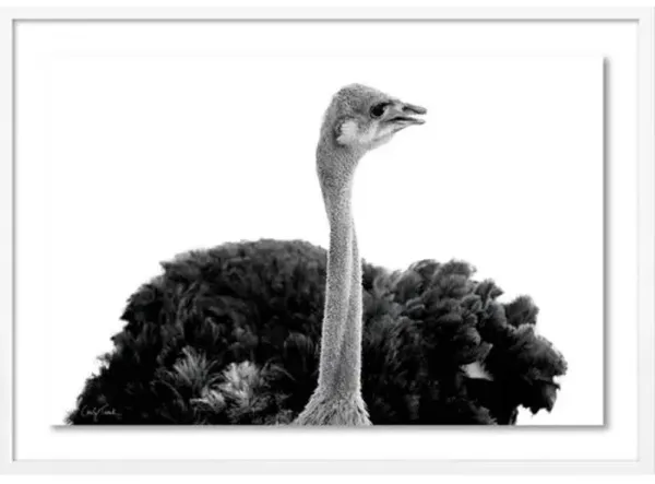 Carly Tabak - Becky California Photograph - White