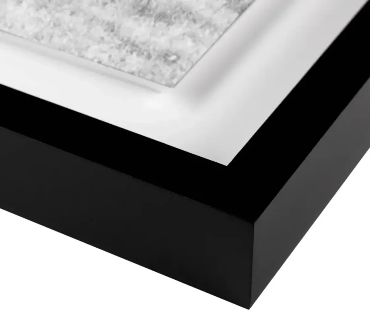 Carly Tabak - Cool and the Gang California Photograph - Black