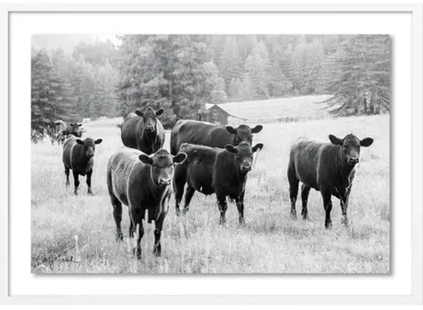 Carly Tabak - Cool and the Gang California Photograph - White