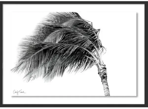 Carly Tabak - Dancing in the Wind Hawaii Photograph - Black