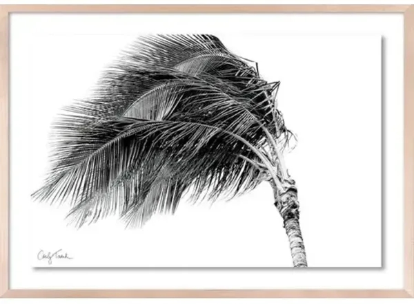 Carly Tabak - Dancing in the Wind Hawaii Photograph - Beige