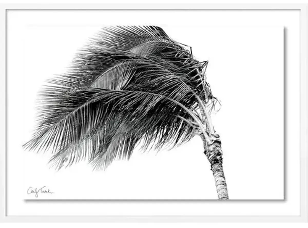 Carly Tabak - Dancing in the Wind Hawaii Photograph - White
