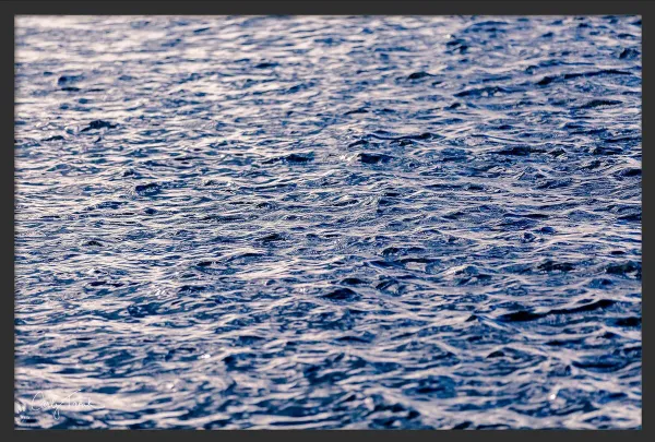 Carly Tabak - Deep Blue Water Hawaii Photograph - Black