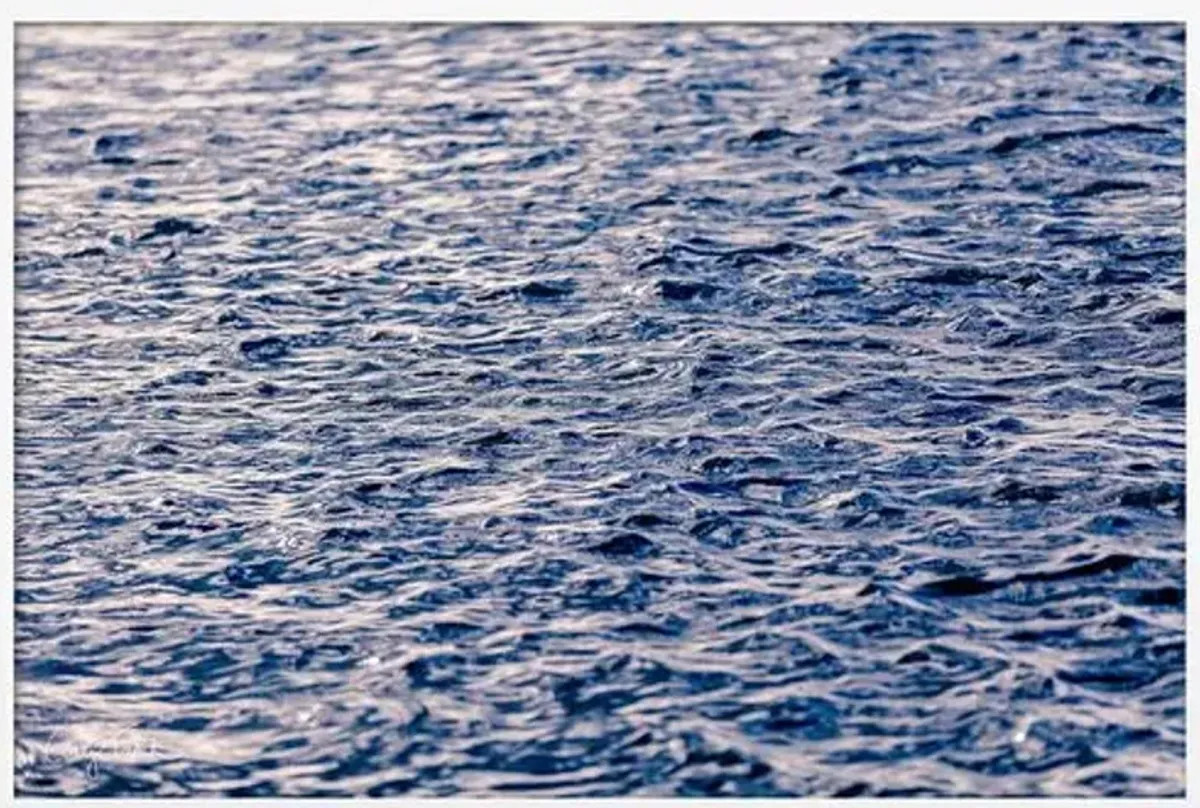 Carly Tabak - Deep Blue Water Hawaii Photograph - White