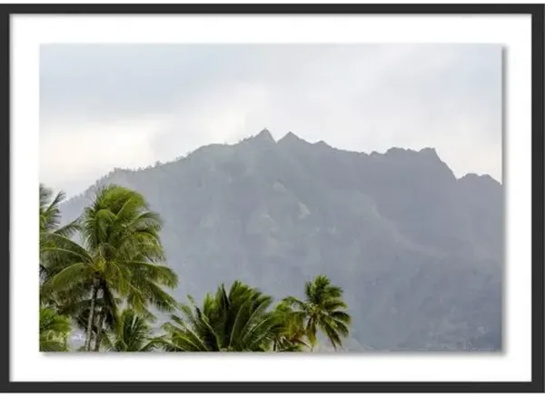 Carly Tabak - Kauai Magic Hawaii Photograph - Black