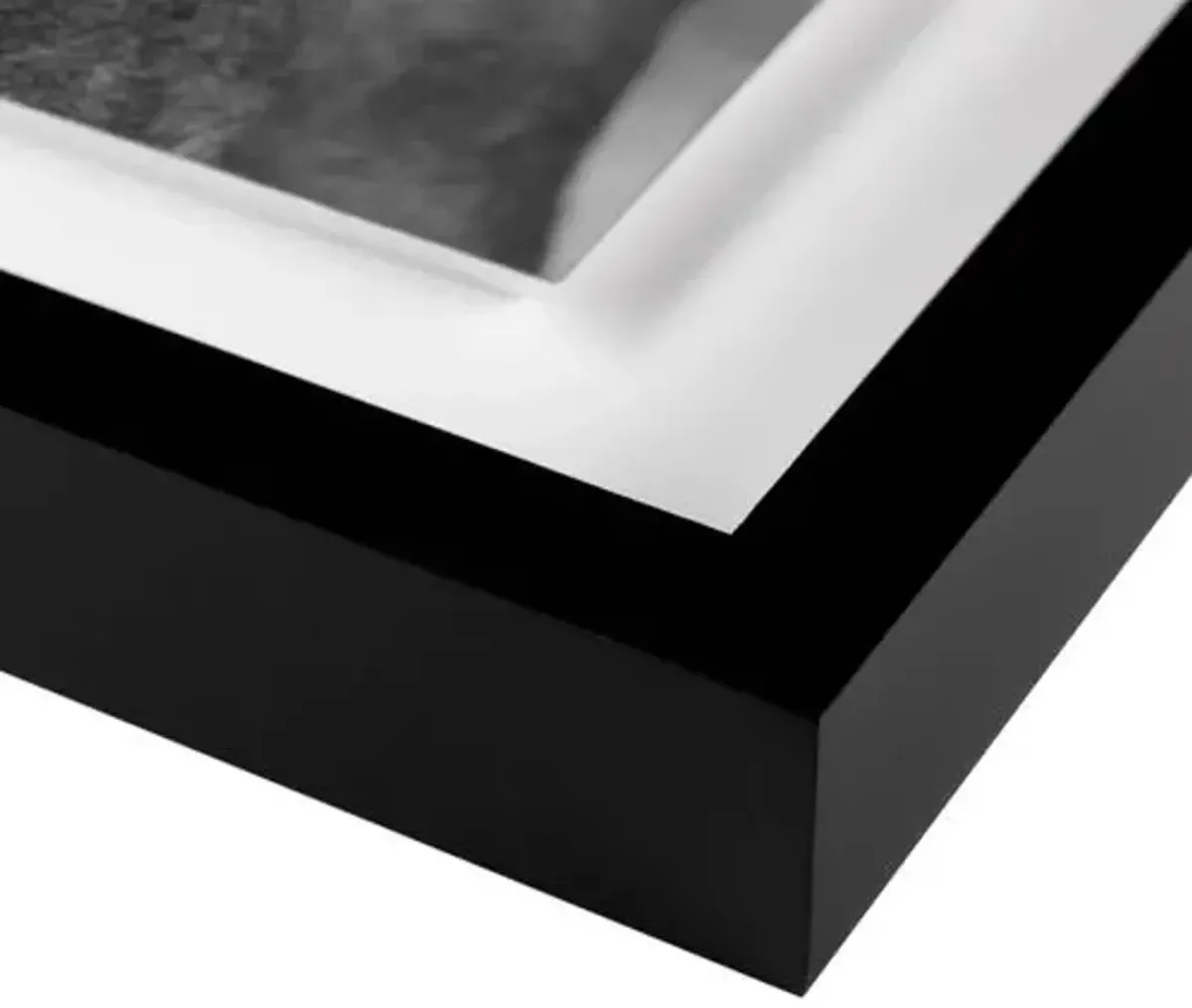 Carly Tabak - Mane Mendocino Photograph - Black