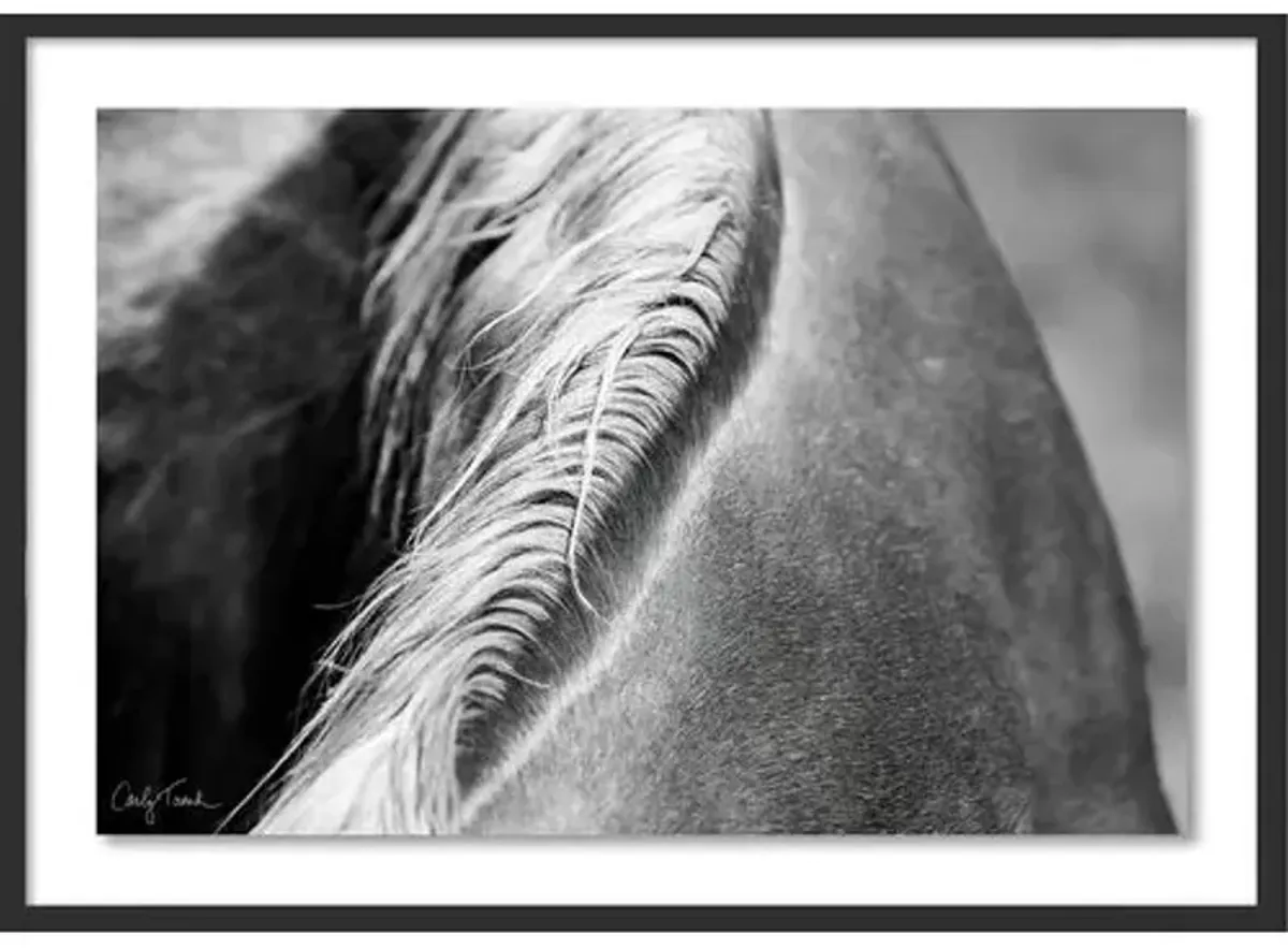 Carly Tabak - Mane Mendocino Photograph - Black
