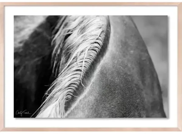Carly Tabak - Mane Mendocino Photograph - Beige