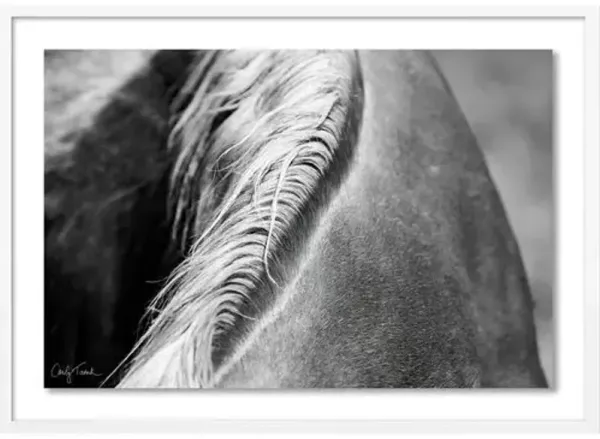 Carly Tabak - Mane Mendocino Photograph - White