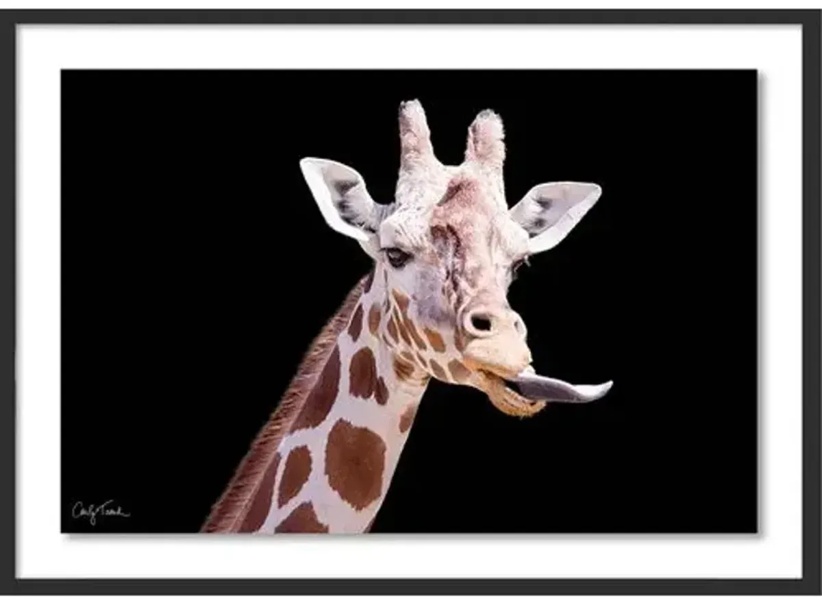 Carly Tabak - Neuman California Photograph - Black