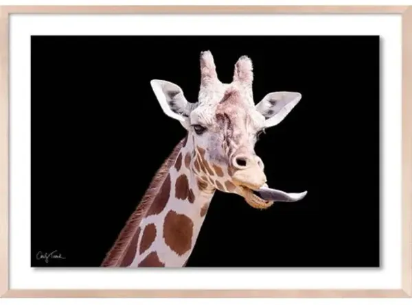 Carly Tabak - Neuman California Photograph - Beige