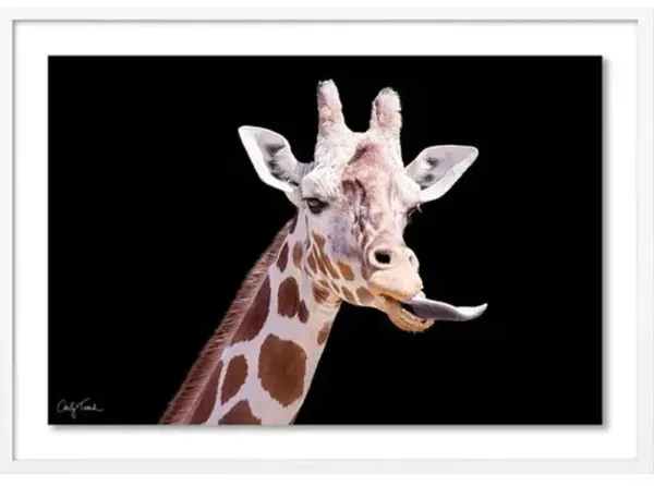 Carly Tabak - Neuman California Photograph - White