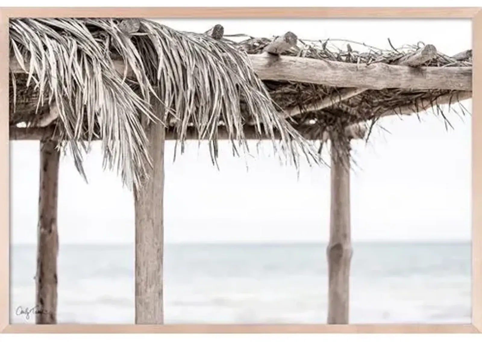 Carly Tabak - Palapa Mexico - Beige